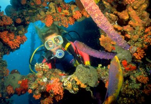 SCUBA DIVING 