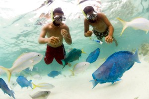 SNORKELING 