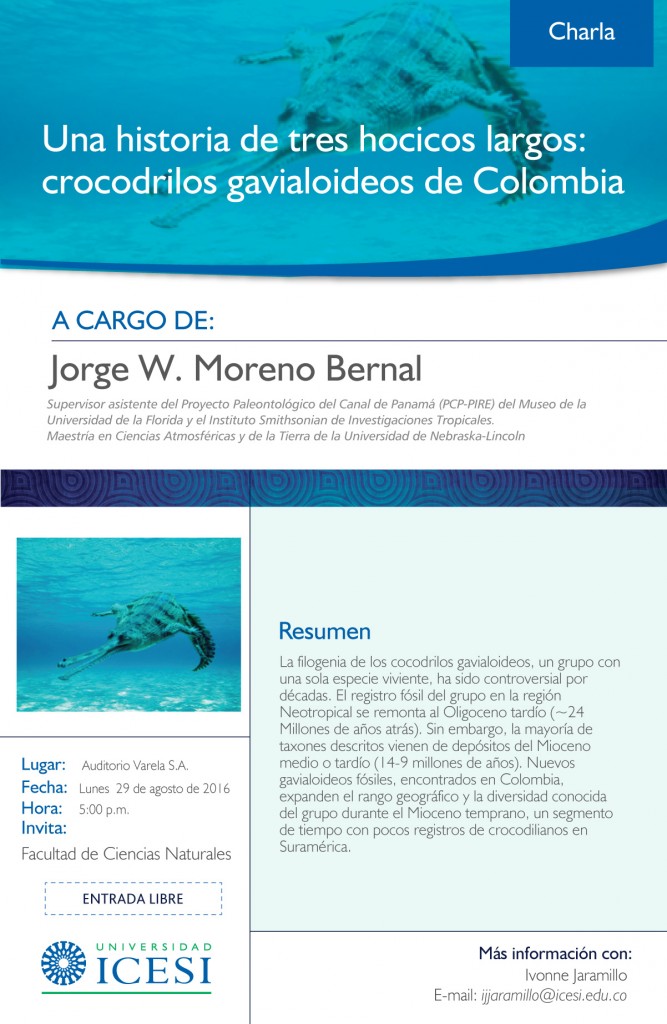 crocodrilos-gavialoideos-de-Colombia (5)