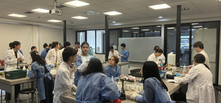 Didáctica inmersiva del curso Química del Deporte