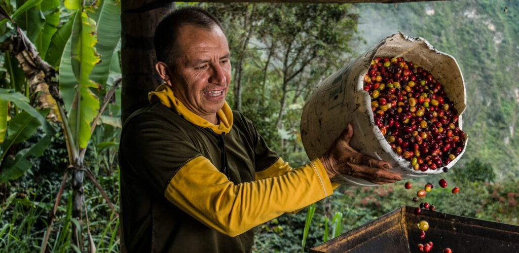 Imagen Theobroma: Una propuesta de chocolate con “Cacao Colombiano 100% Paz y 0% deforestación”