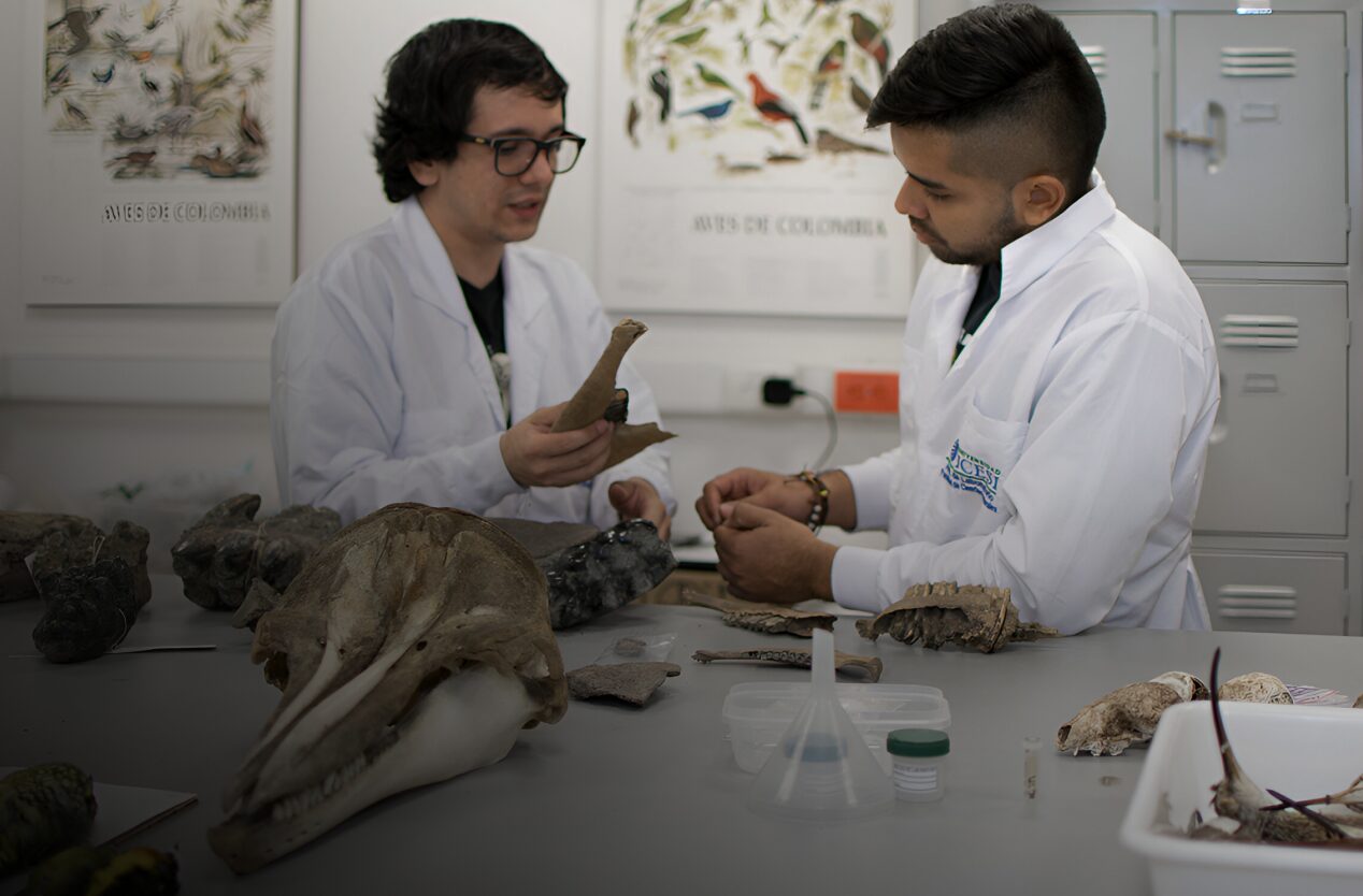 Imagen destacada del laboratorio - Colección Zoológica