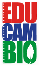 educambio_2