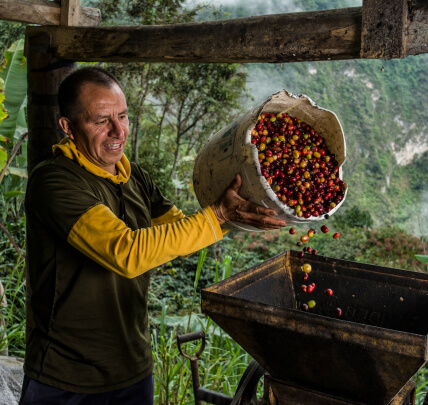 Imagen de fondo Theobroma: Una propuesta de chocolate con “Cacao Colombiano 100% Paz y 0% deforestación”