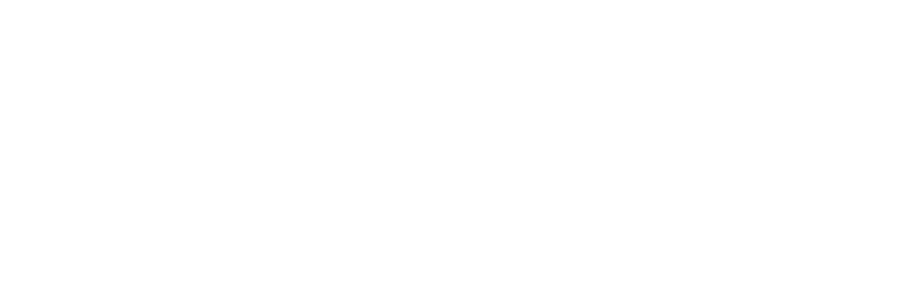 logo salud y vida