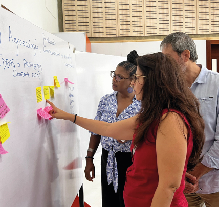 Imagen de fondo Impulsamos la transformación de los sistemas alimentarios del Valle del Cauca